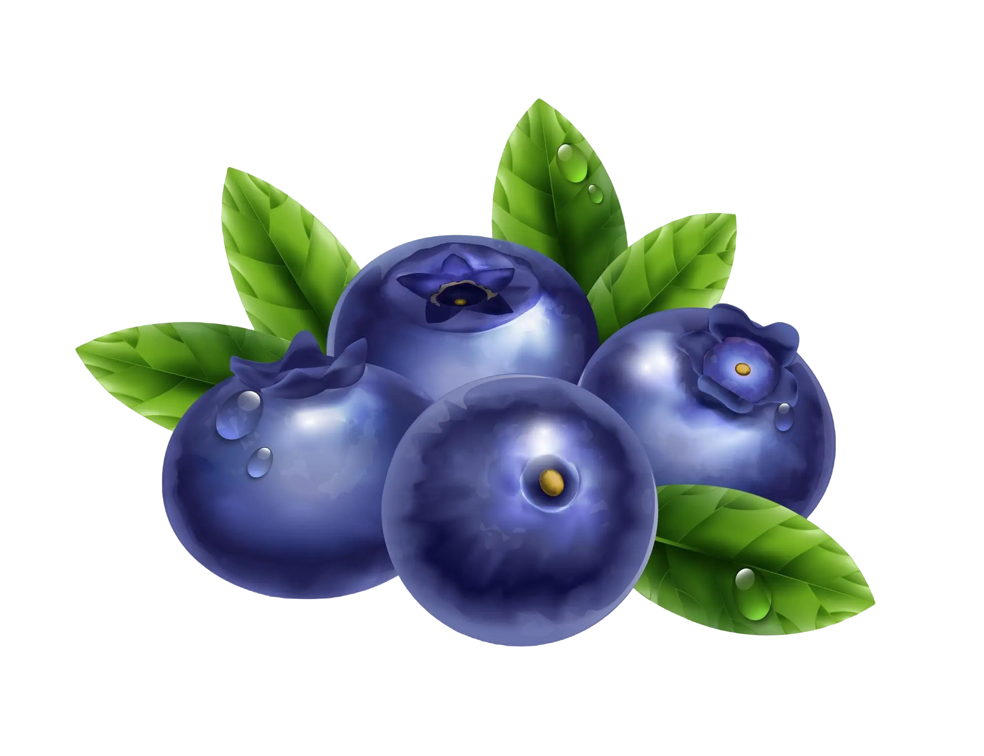 Blueberry