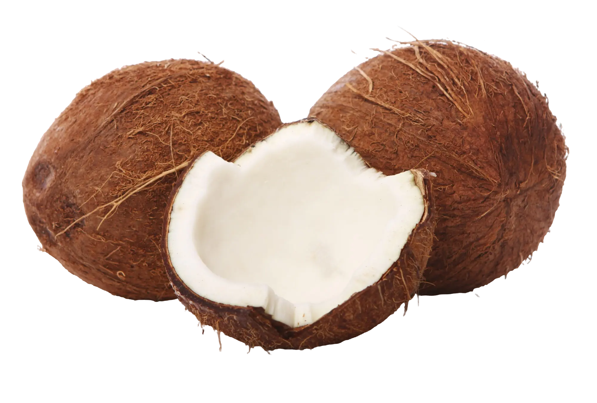 Coconut