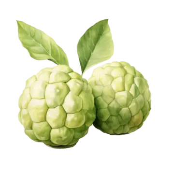 Custard Apple