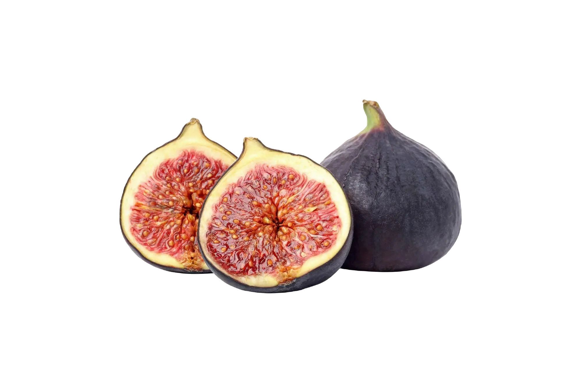 Fig