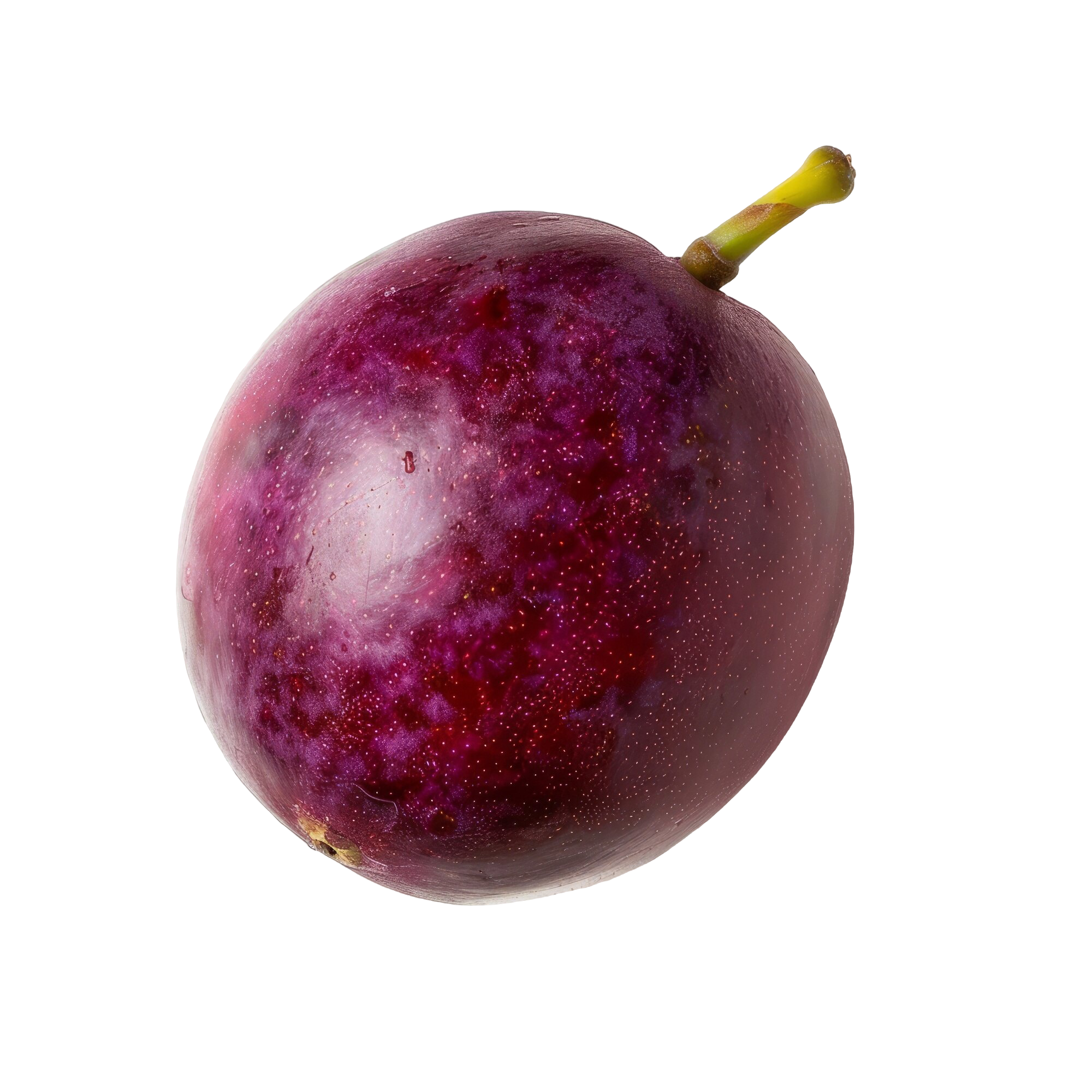 Plum