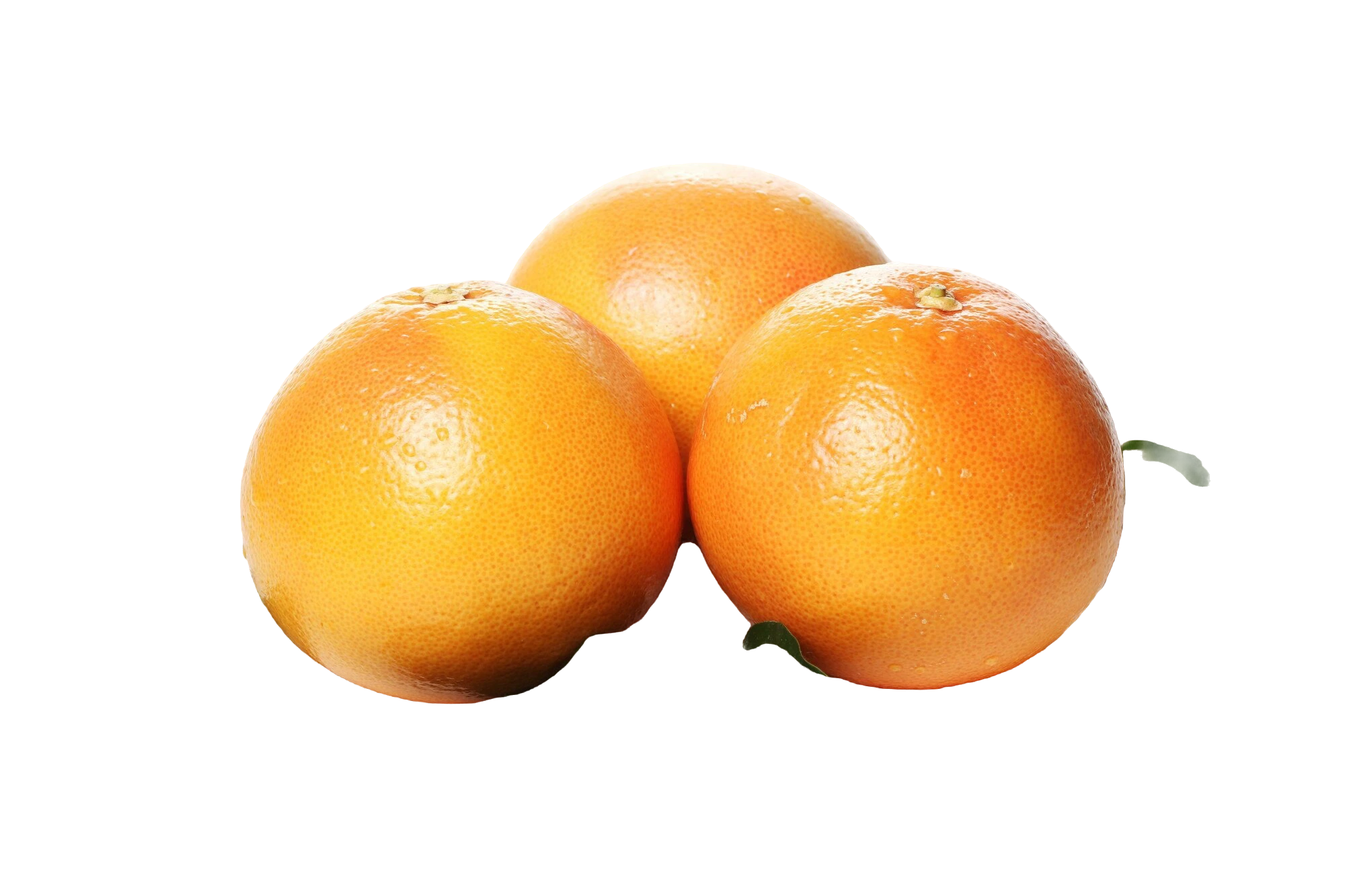 Kumquat