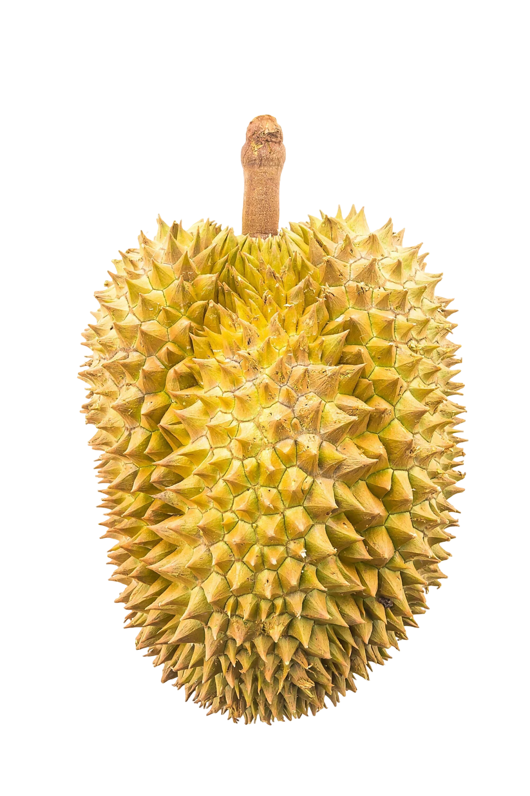 Durian