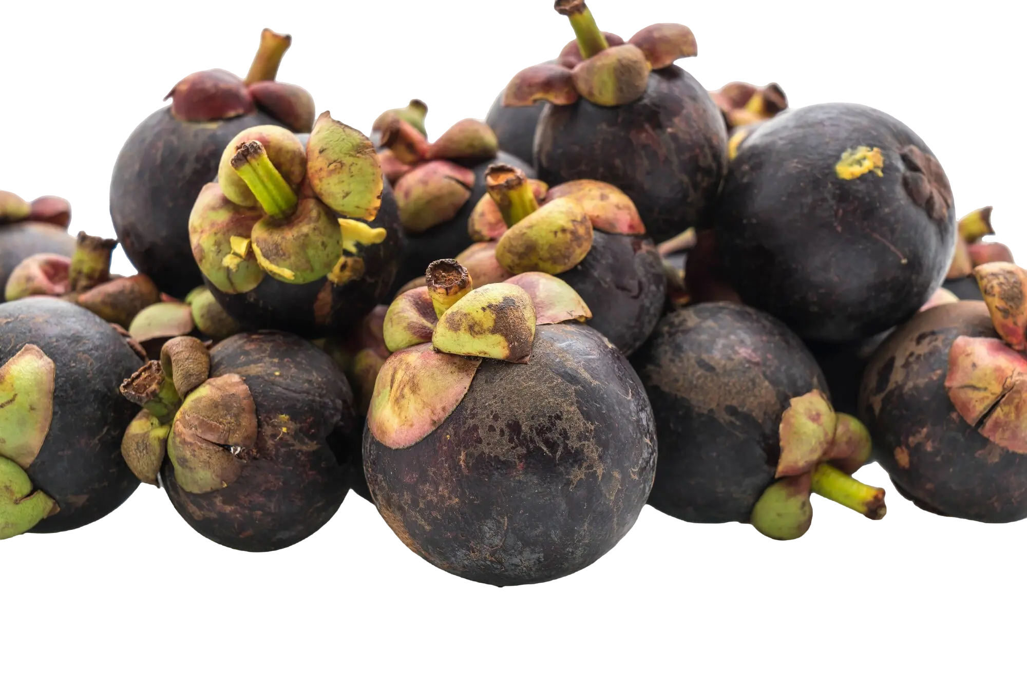 Mangosteen